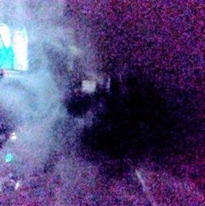 Meet your Posher, Monroe